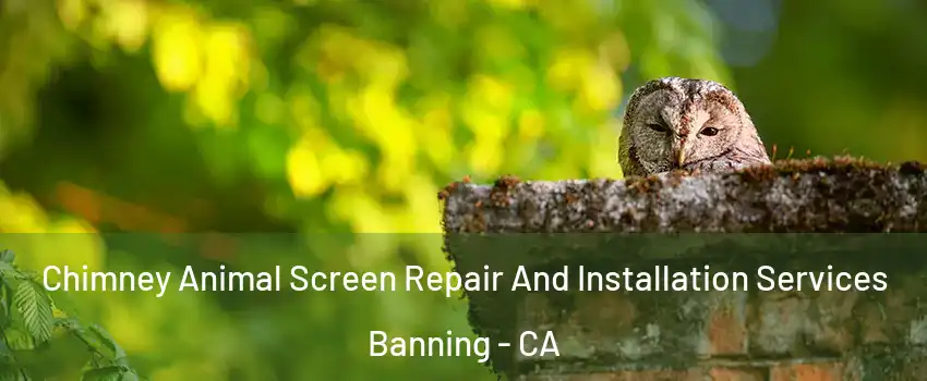 Chimney Animal Screen Repair And Installation Services Banning - CA