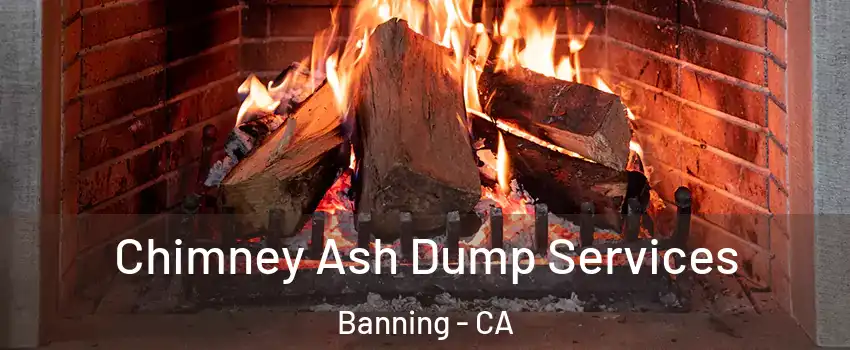 Chimney Ash Dump Services Banning - CA