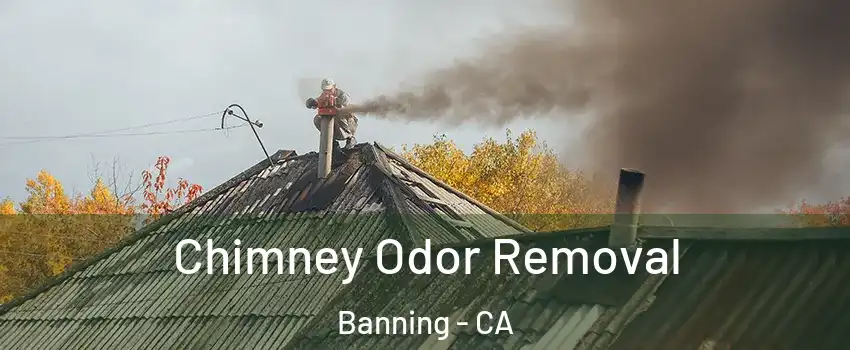 Chimney Odor Removal Banning - CA