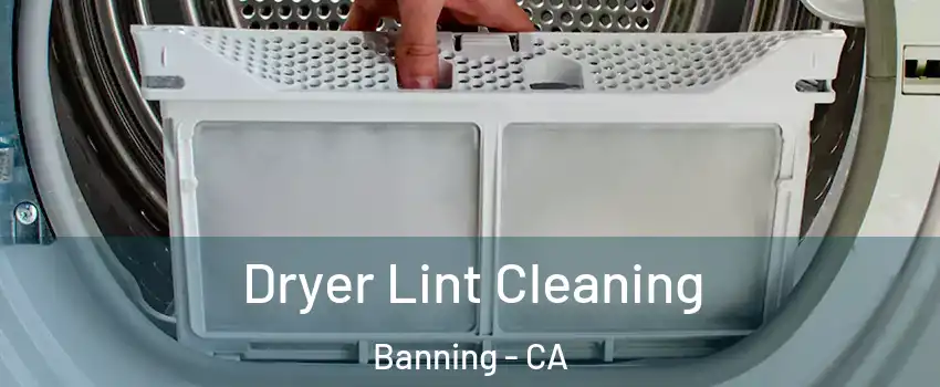  Dryer Lint Cleaning Banning - CA