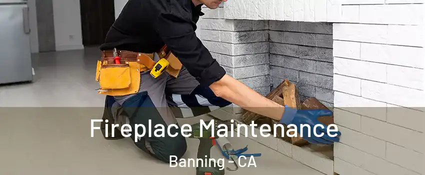  Fireplace Maintenance Banning - CA