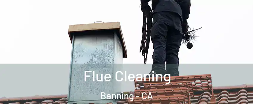  Flue Cleaning Banning - CA