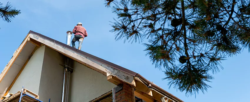 Birds Removal Contractors from Chimney in Banning, CA