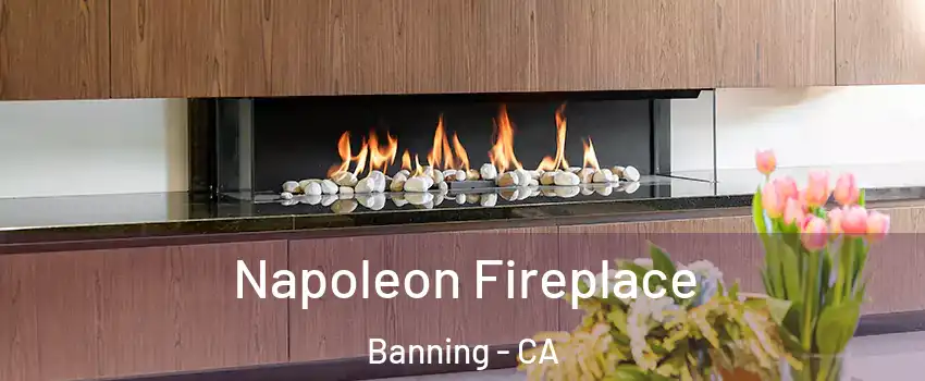  Napoleon Fireplace Banning - CA