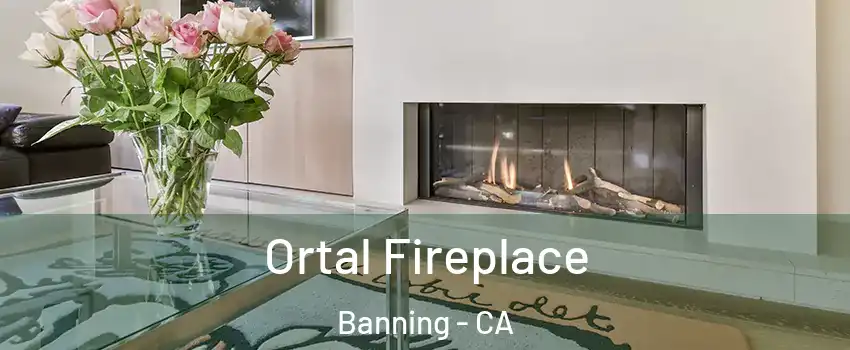  Ortal Fireplace Banning - CA