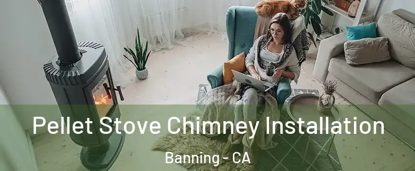  Pellet Stove Chimney Installation Banning - CA